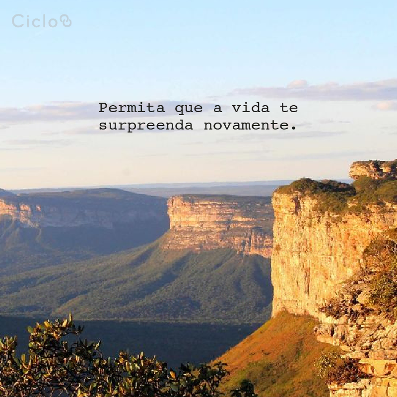 permita-se