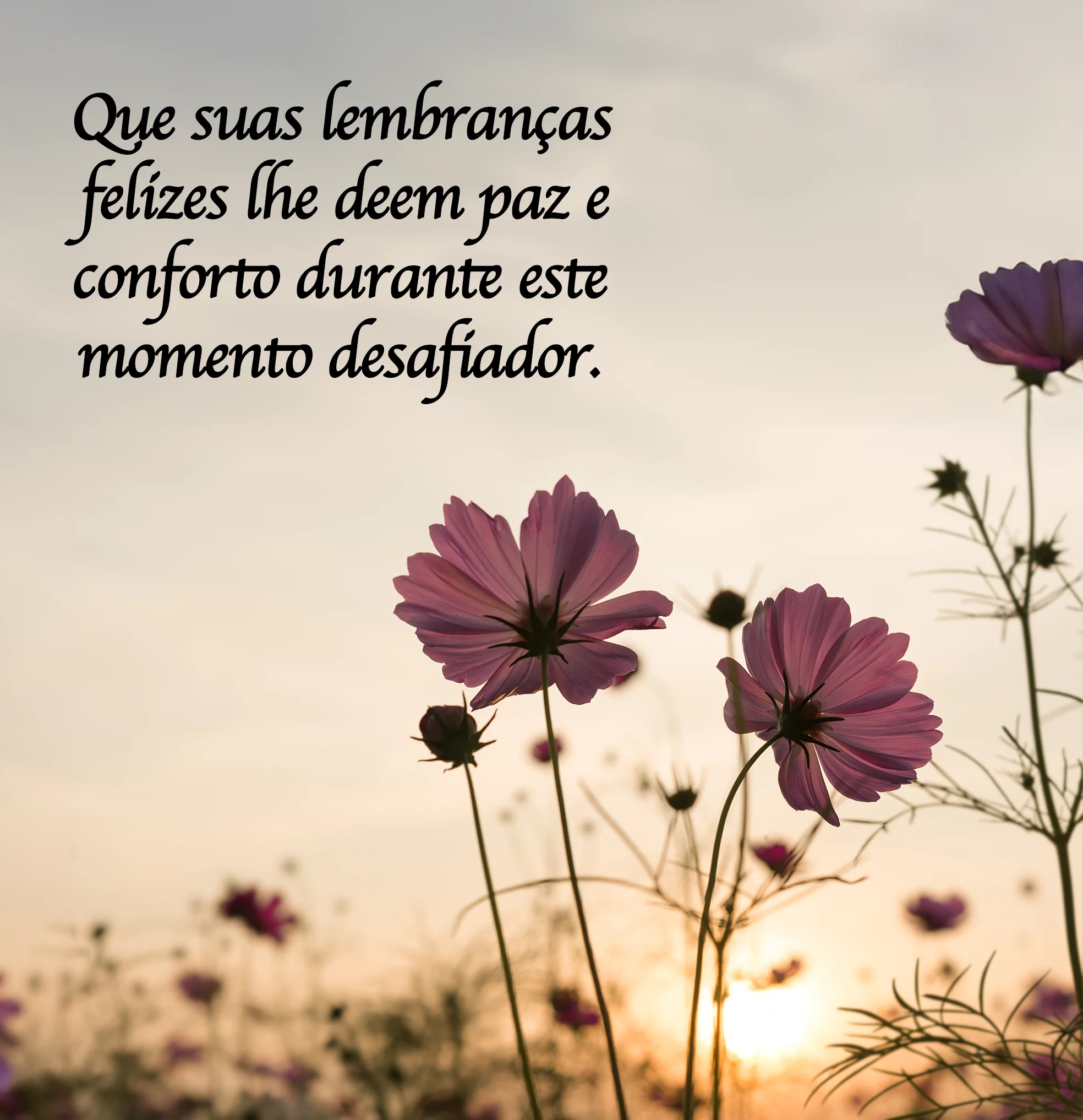 Que suas Lembranças Feliz lhe deem paz