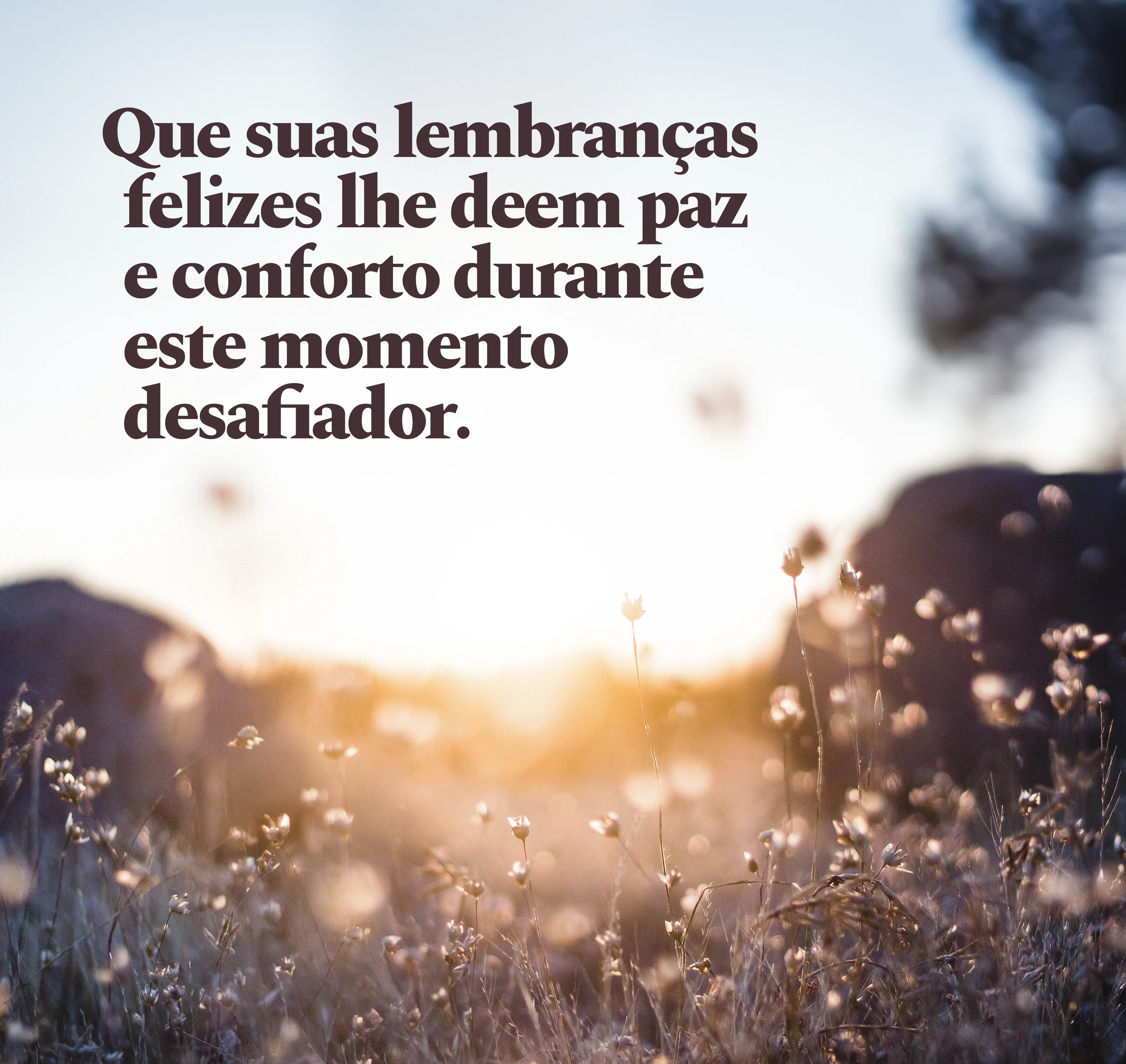 Que suas lembranças feliz lhe deem paz