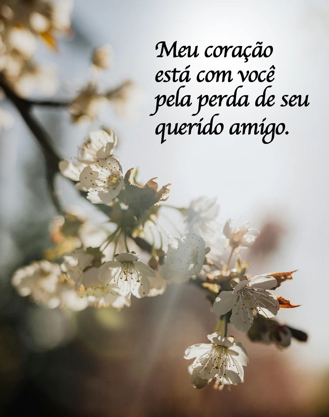 Meu coração está com você