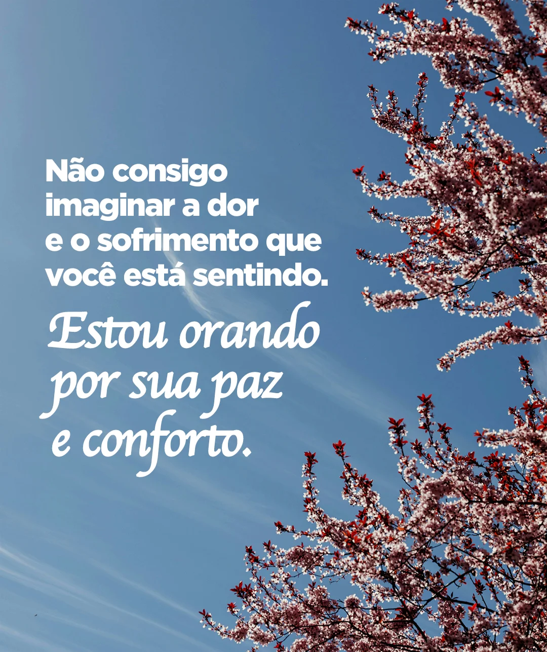 Não consigo imaginar a dor