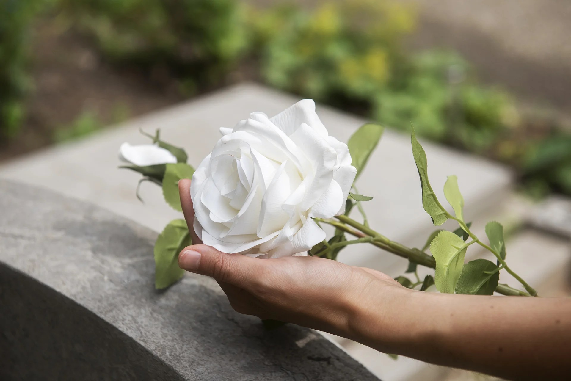 Guia Completo: Como Escolher o Melhor Plano de Assistência Funeral
