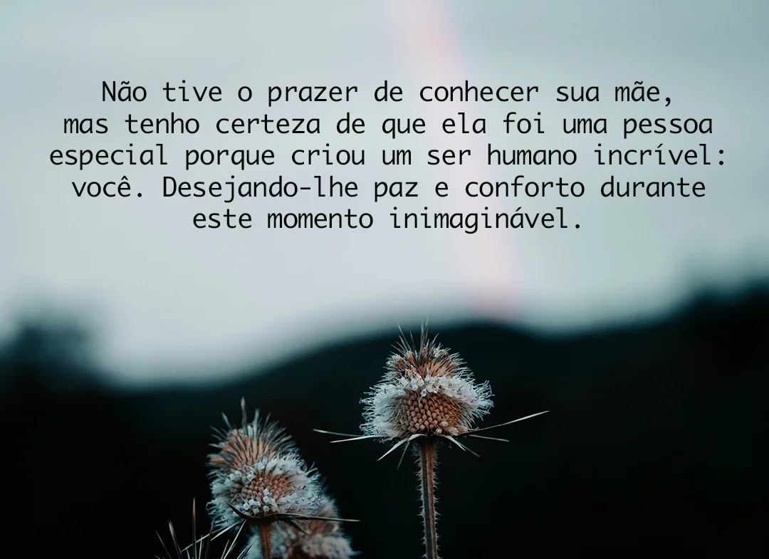 Não tive o prazer de conhecer sua mãe
