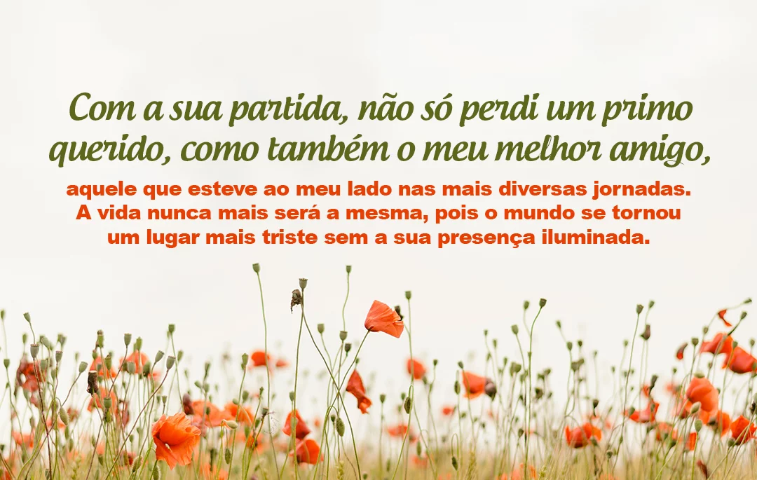 Com a sua partida não só perdi um primo querido como também o meu melhor amigo