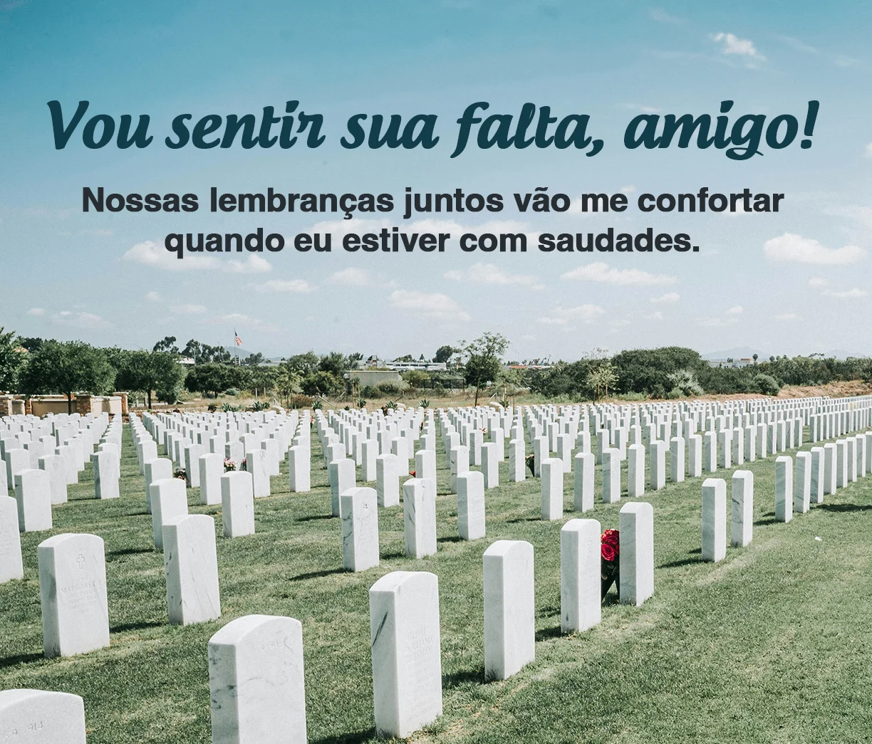 Vou Sentir Sua Falta, Amigo