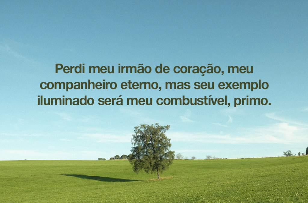 Perdi meu irmão de coração meu companheiro eterno