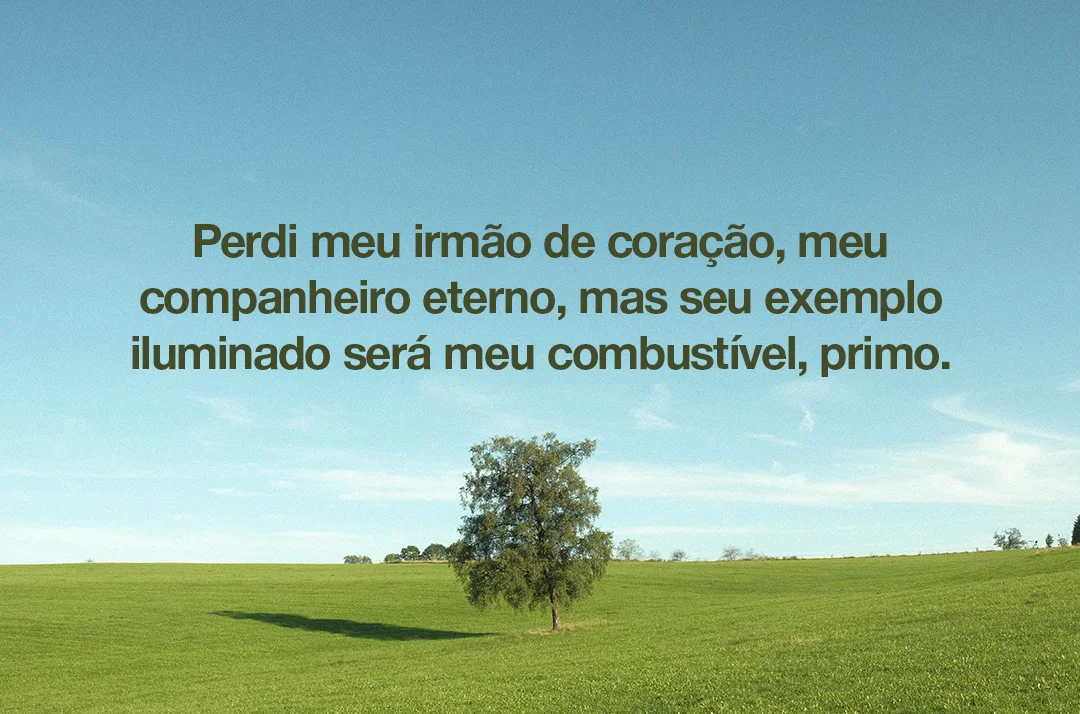 Perdi meu irmão de coração meu companheiro eterno