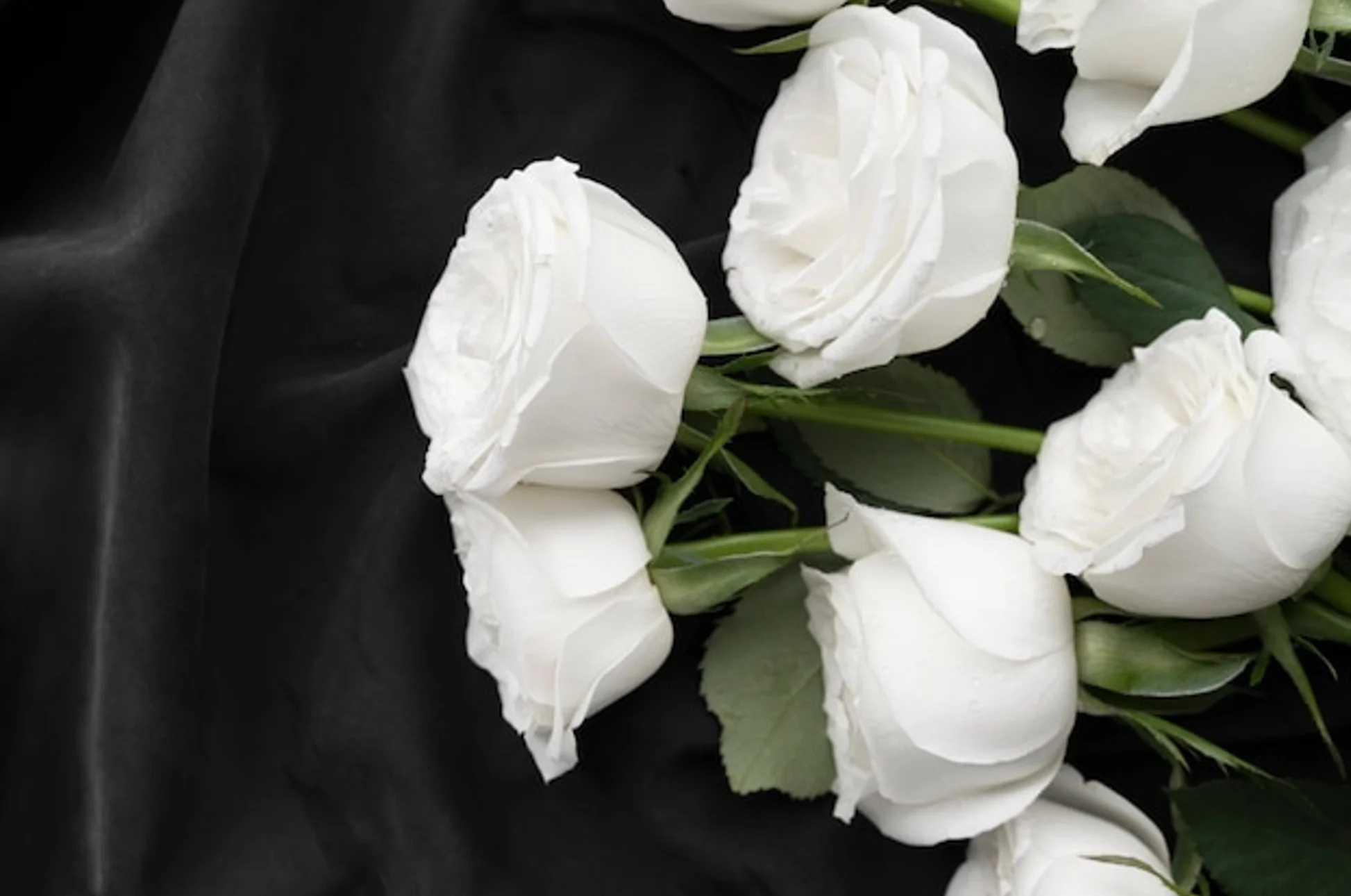 A Flor que Expressa Respeito e Luto: Descubra a Simbologia das Flores para Velórios