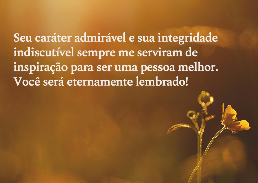 Seu caráter admirável e sua integridade indiscutível sempre me serviram de inspiração para ser uma pessoa melhor.