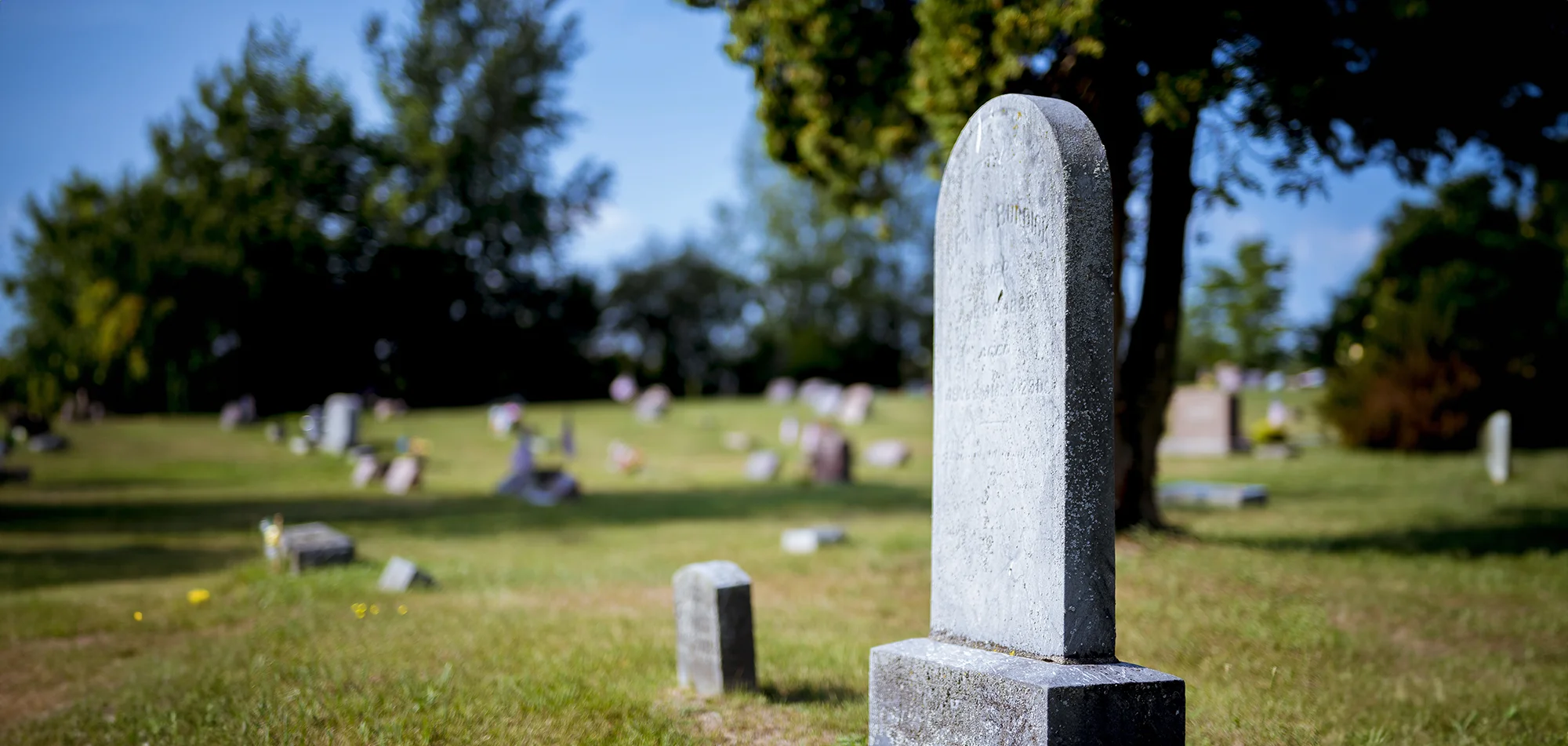 Planejando uma Cerimônia de Celebração da Vida: Guia Completo para Serviços Memoriais Exclusivos