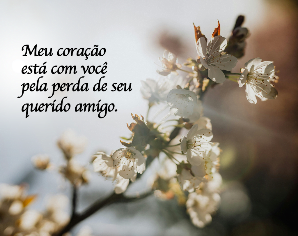 Meu coração está com você pela perda de seu querido amigo.