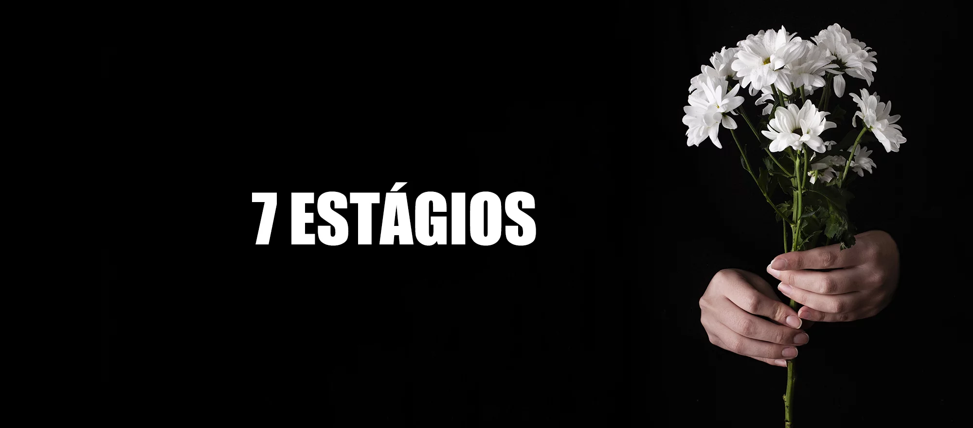 Os Sete Estágios do Luto: Compreenda e Supere o Processo de Perda