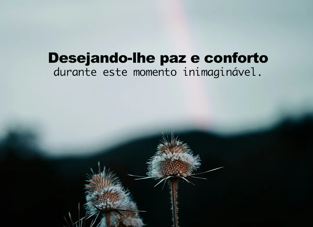 Desejando-lhe paz e conforto durante este momento inimaginável
