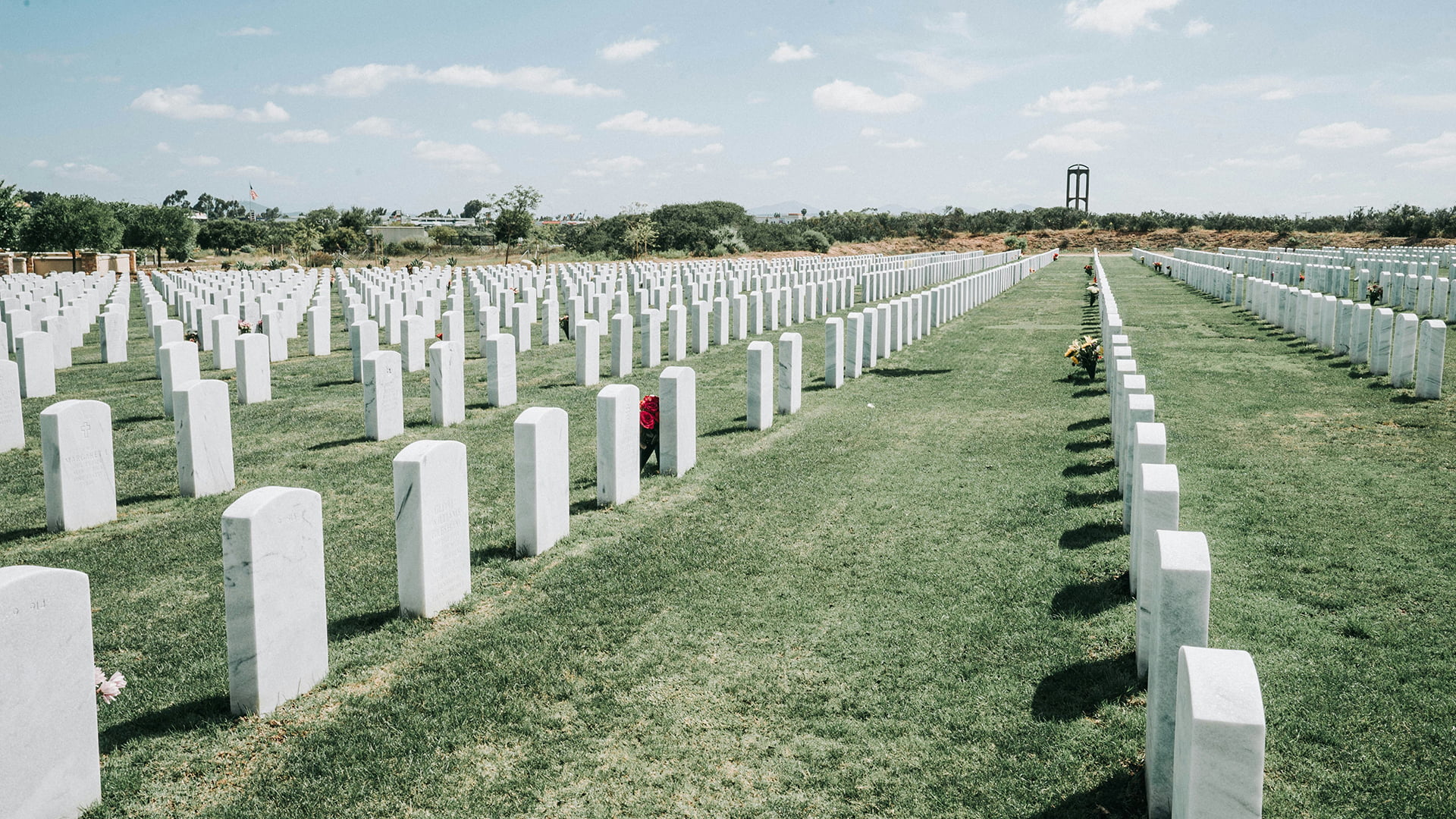 10 Pontos Importantes para Escolher um Provedor de Plano Funerário