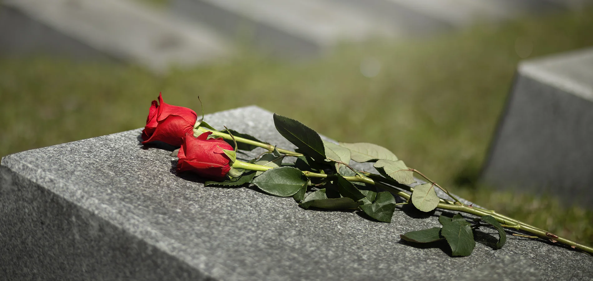 Guia Completo para Organizar um Serviço Memorial