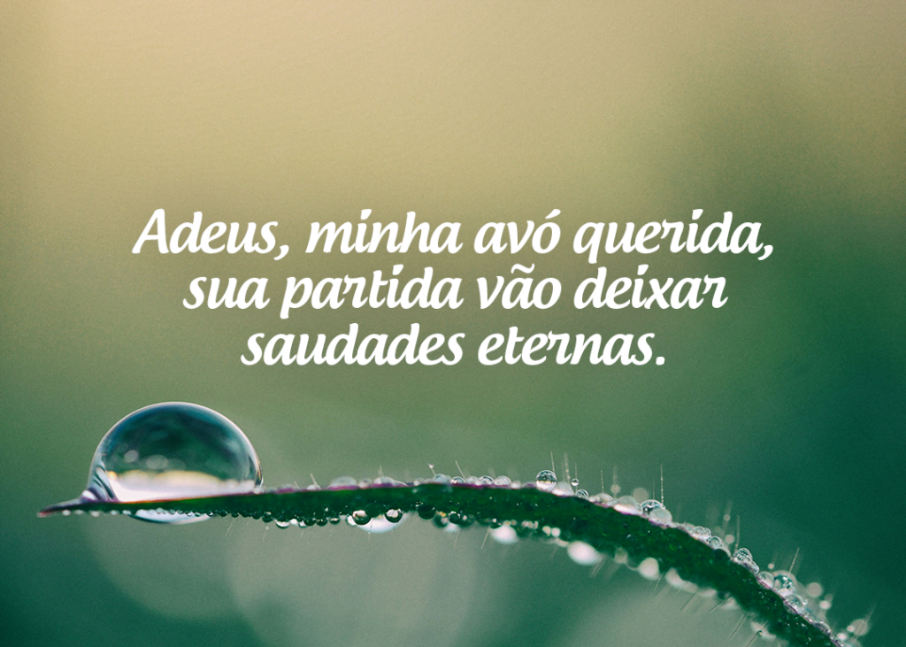 Adeus, minha avó querida, sua partida vão deixar saudades eternas