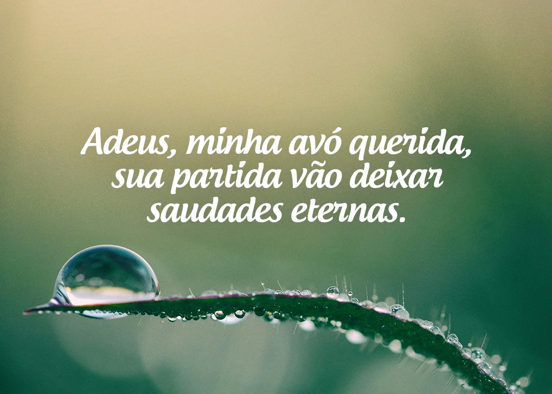 Adeus, minha avó querida, sua partida vão deixar saudades eternas