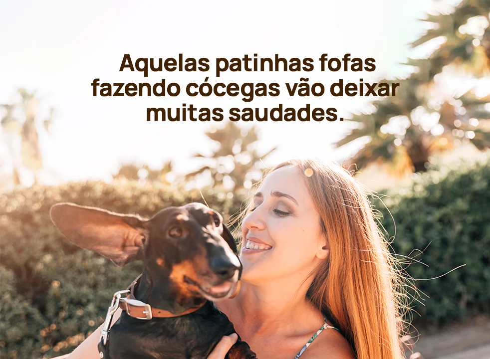 Aquelas patinhas fofas fazendo cócegas vão deixar muitas saudades