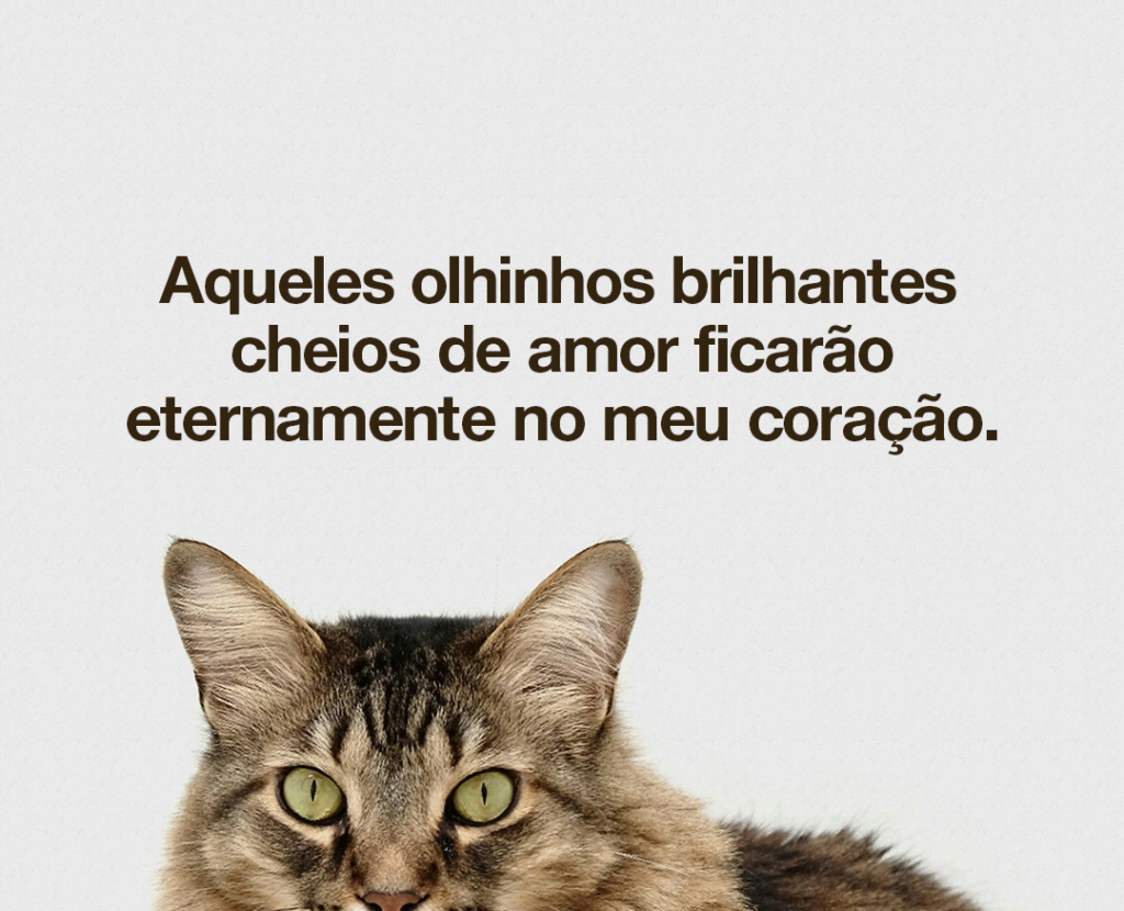 Aqueles olhinhos brilhantes cheios de amor ficarão eternamente no meu coração