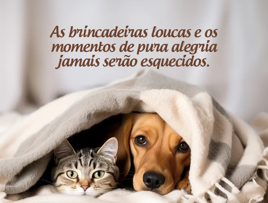 As brincadeiras loucas e os momentos de pura alegria jamais serão esquecidos