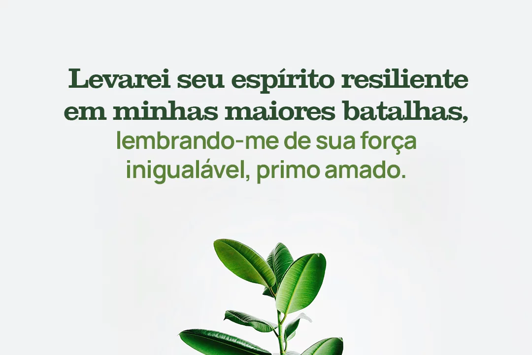 Levarei seu espírito resiliente em minhas maiores batalhas, lembrando-me de sua força inigualável, primo amado