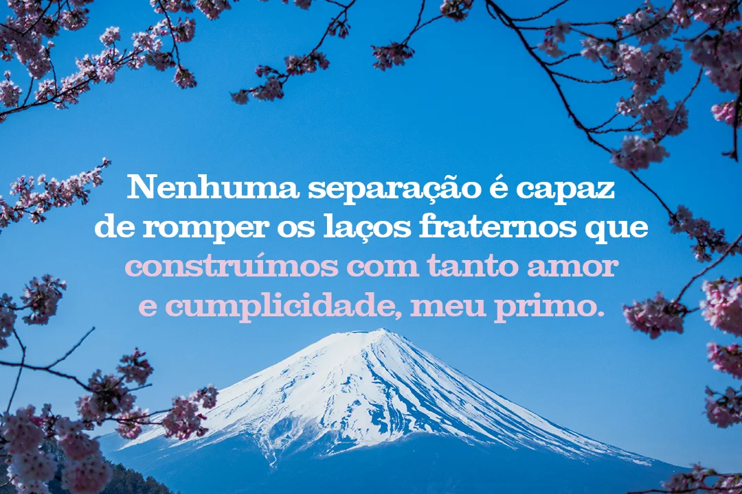 Nenhuma separação é capaz de romper os laços fraternos que construímos com tanto amor e cumplicidade