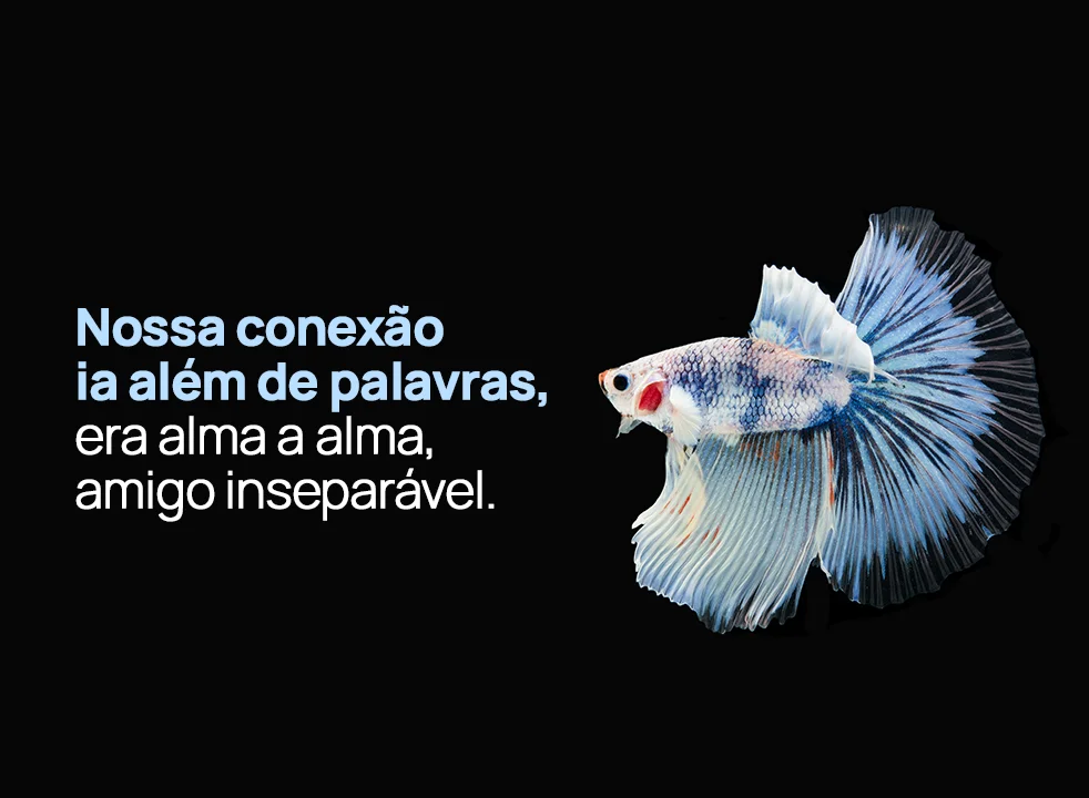 Nossa conexão ia além de palavras