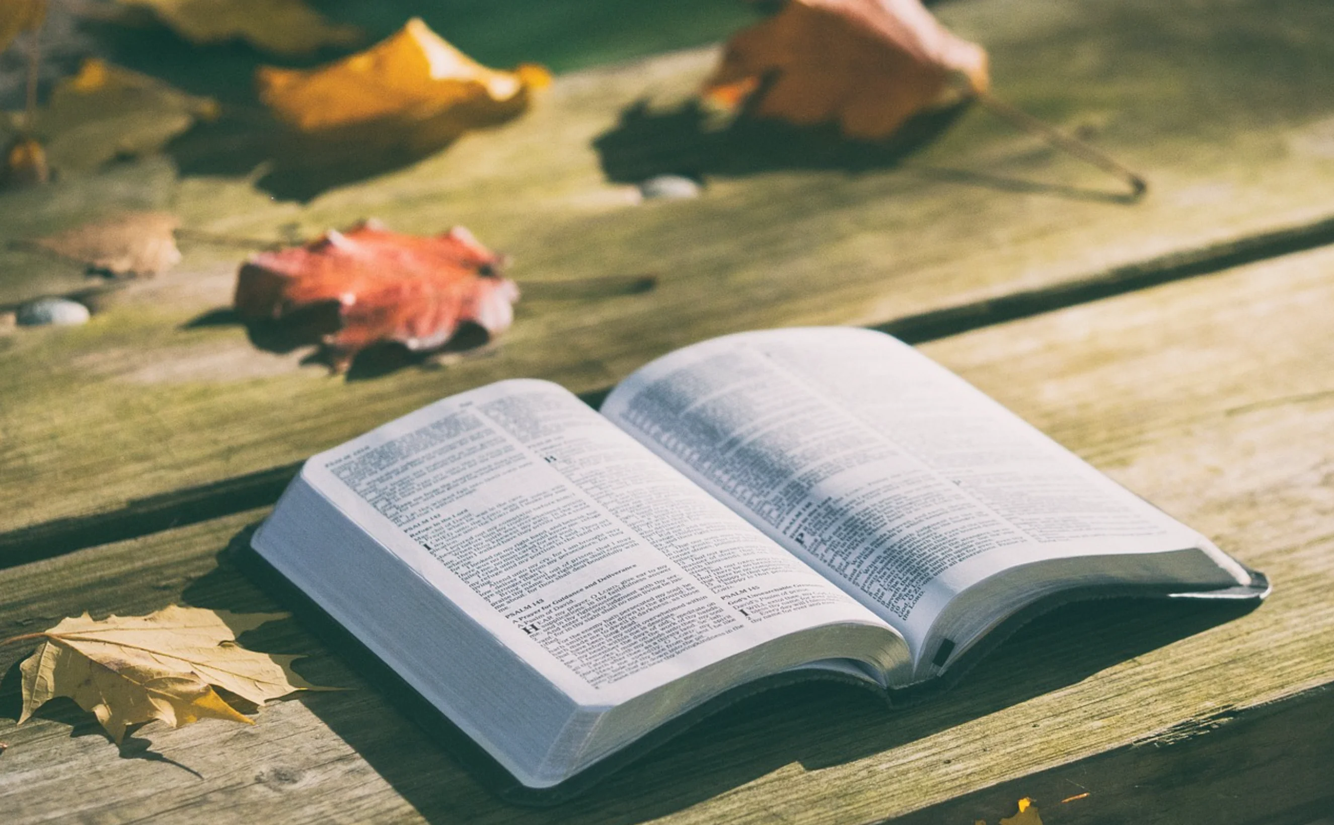 5 Poemas Impactantes que Expressam a Dor de Um Funeral