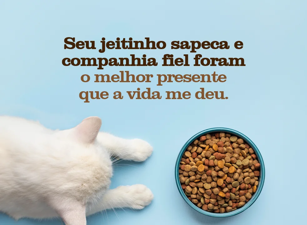 Seu jeitinho sapeca e companhia fiel foram o melhor presente que a vida me deu