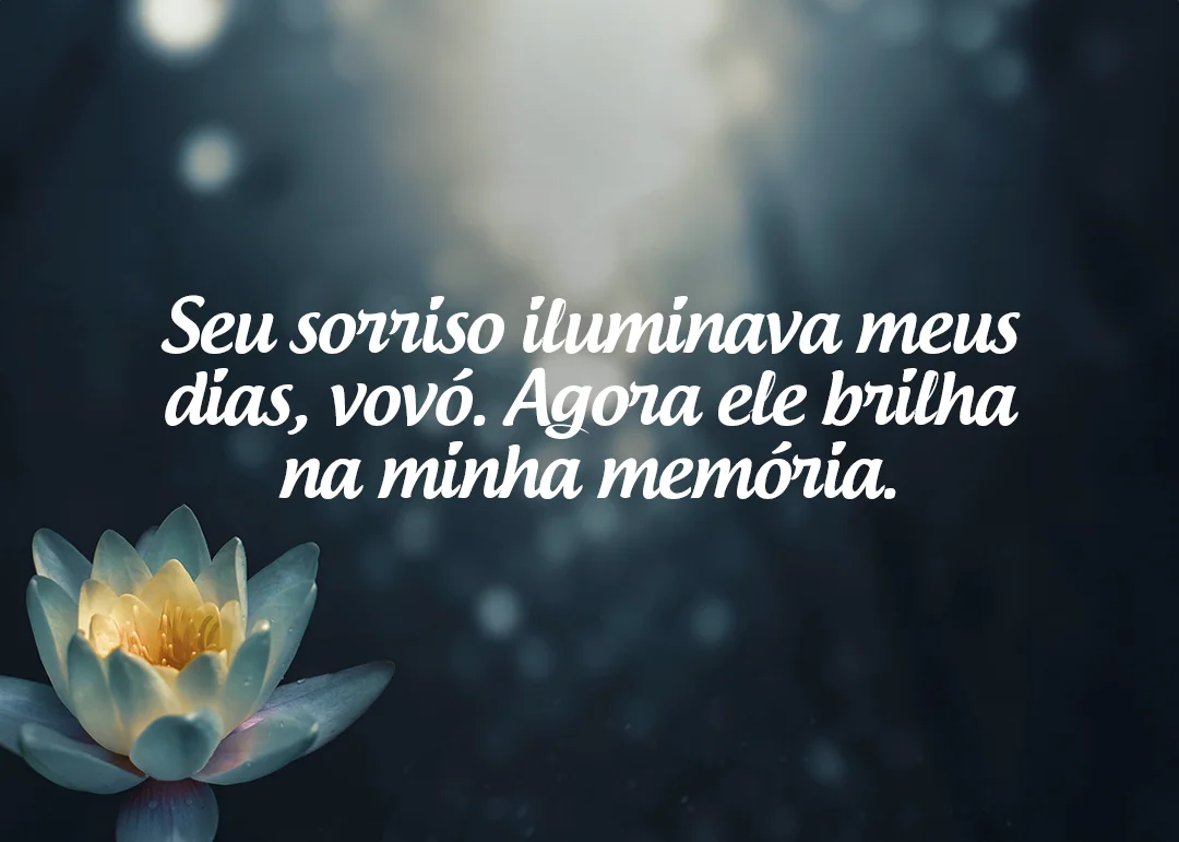 Seu sorriso iluminava meus dias, vovó