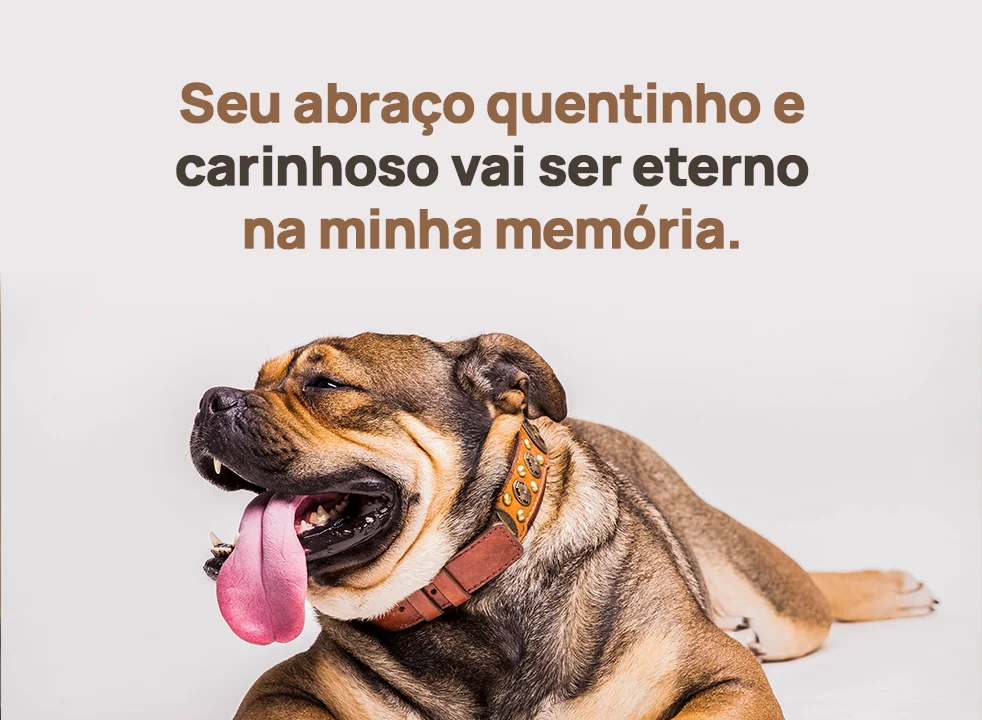 Seu abraço quentinho e carinhoso vai ser eterno na minha memória