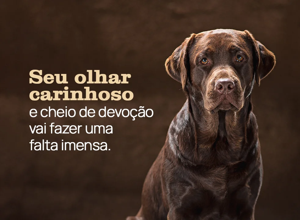 Seu olhar carinhoso e cheio de devoção vai fazer uma falta imensa.