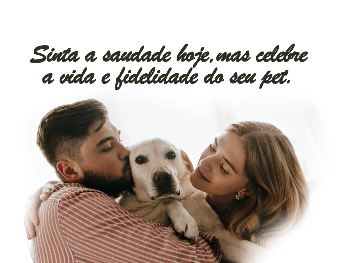Sinta a saudade hoje, mas celebre a vida e fidelidade do seu pet