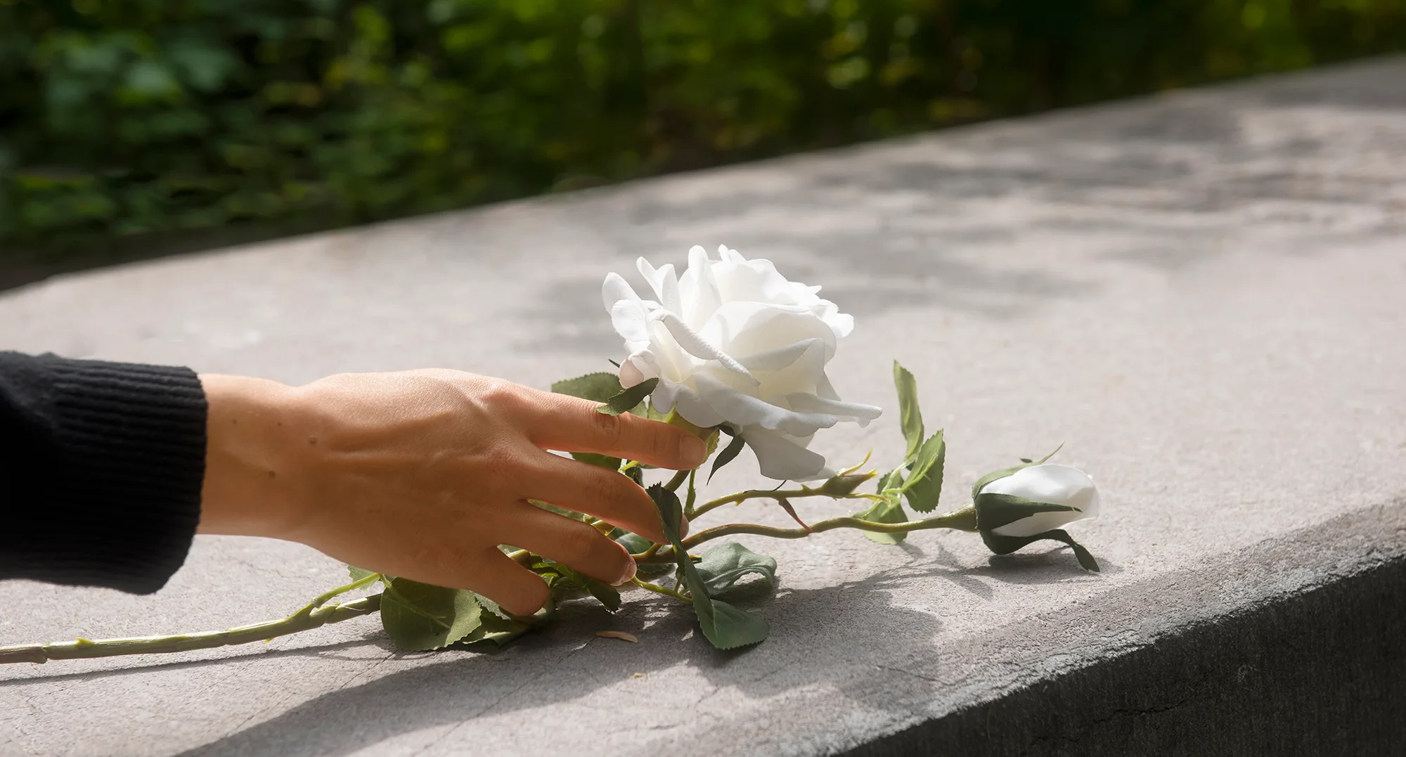 Qual é o Melhor Plano Funeral? Descubra Aqui!