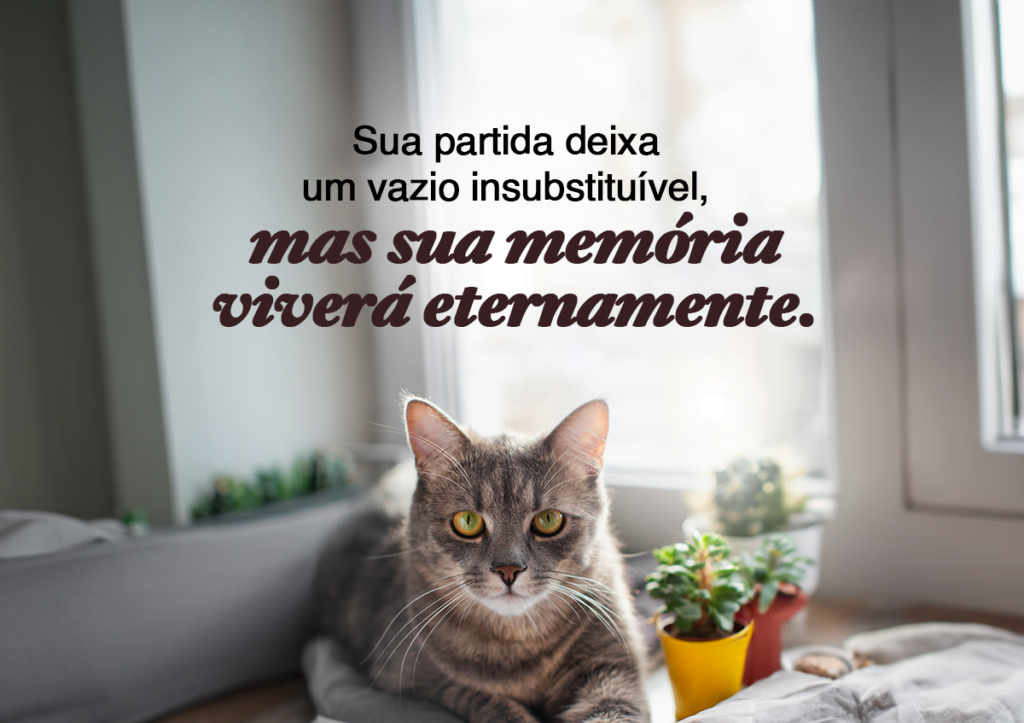 Sua partida deixa um vazio insubstituível