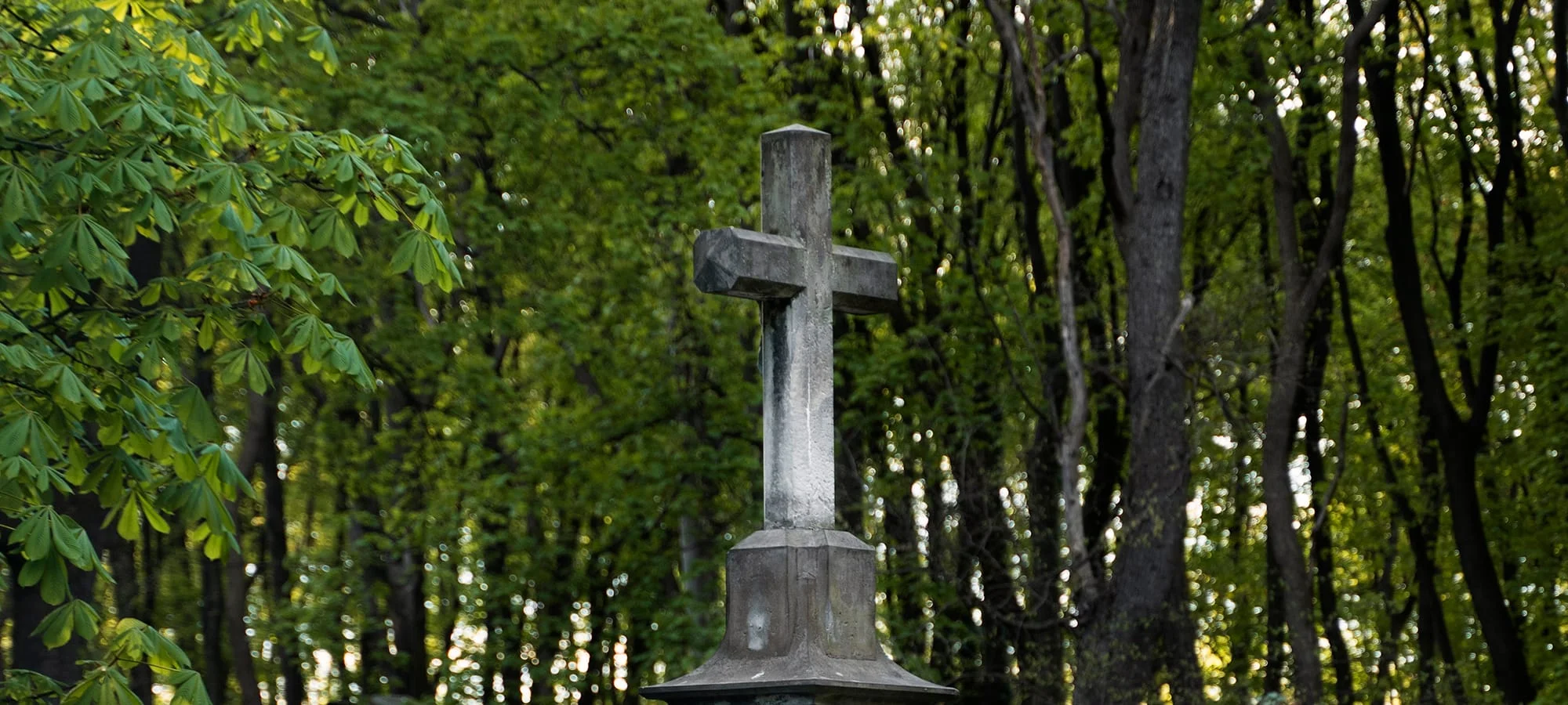 Por Que um Plano Funeral É uma Vantagem Essencial Para Você e Sua Família?