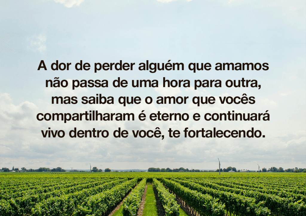 A dor de perder alguém que amamos não passa de uma hora para outra, mas saiba que o amor que vocês compartilharam