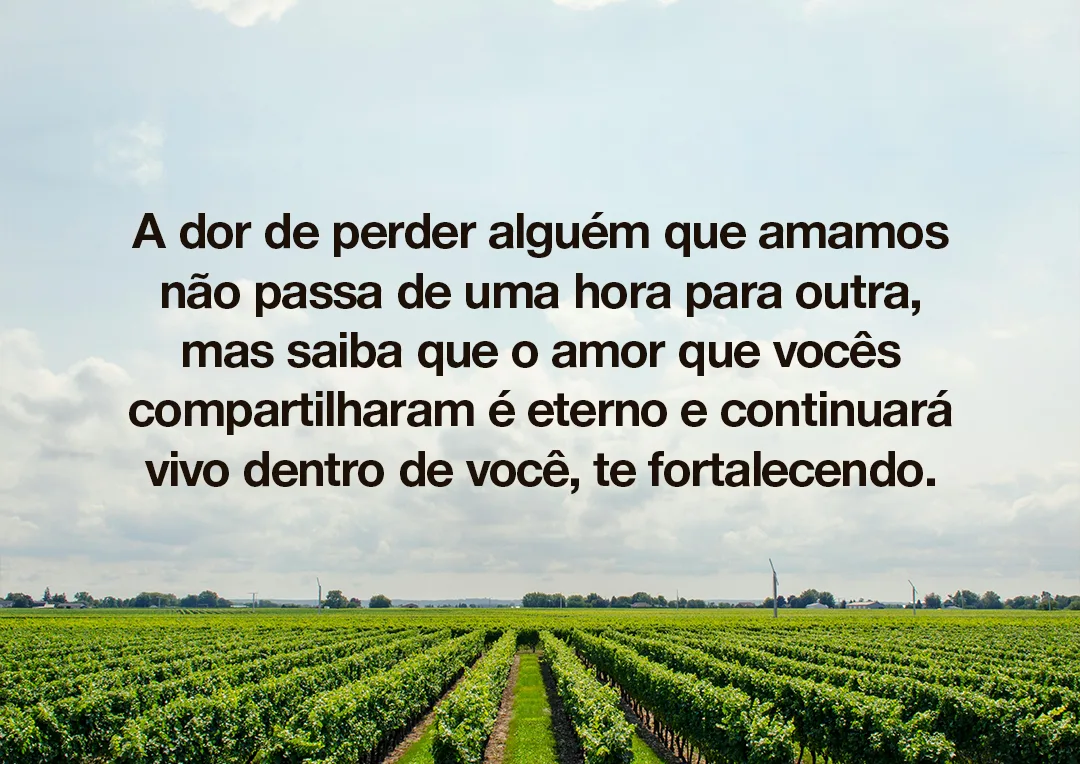 A dor de perder alguém que amamos não passa de uma hora para outra, mas saiba que o amor que vocês compartilharam