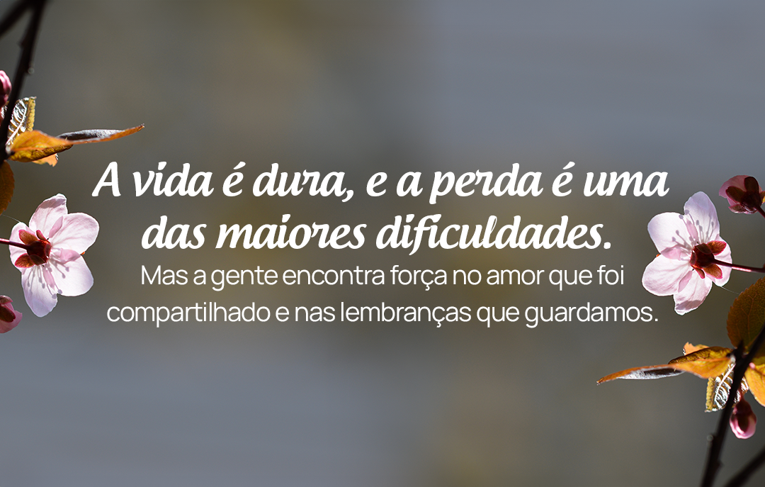 A vida é dura, e a perda é uma das maiores dificuldades