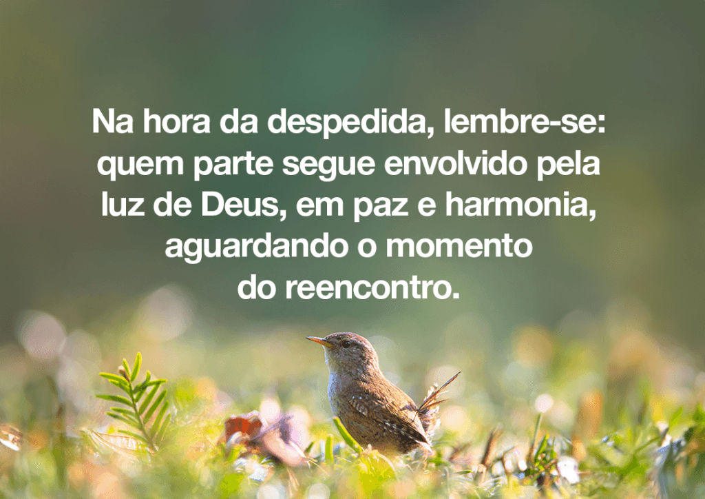 Na hora da despedida, lembre-se: quem parte segue envolvido pela luz de Deus, em paz e harmonia
