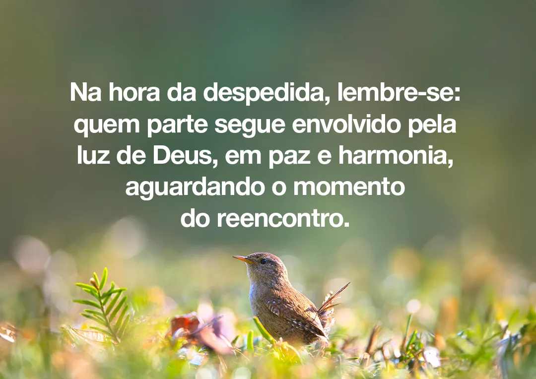 Na hora da despedida, lembre-se: quem parte segue envolvido pela luz de Deus, em paz e harmonia