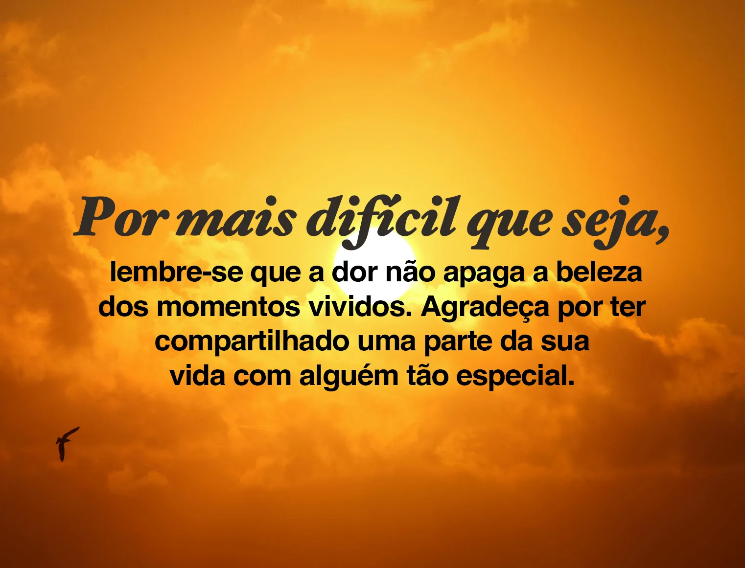 Por mais difícil que seja, lembre-se que a dor não apaga a beleza dos momentos vividos