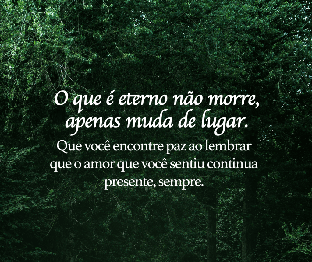 O que é eterno não morre, apenas muda de lugar. Que você encontre paz ao lembrar
