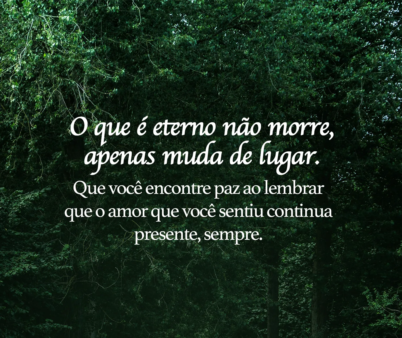 O que é eterno não morre, apenas muda de lugar. Que você encontre paz ao lembrar