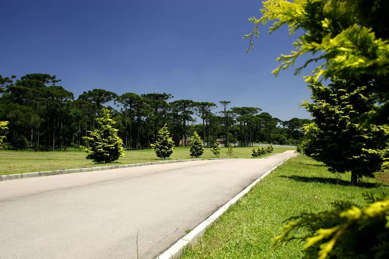 As 5 Principais Causas do Luto: Entenda e Supere essa Experiência Desafiadora