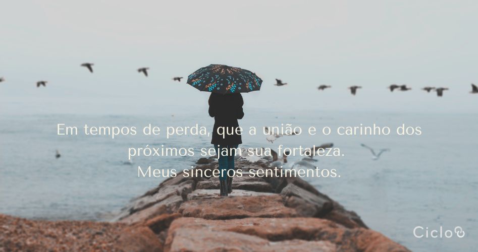 Em tempos de perda, que a união e o carinho dos próximos sejam sua fortaleza. Meus sinceros sentimentos.