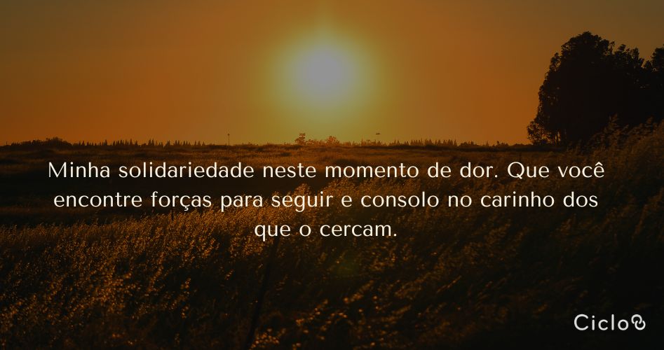 Minha solidariedade neste momento de dor. Que você encontre forças para seguir e consolo no carinho dos que o cercam