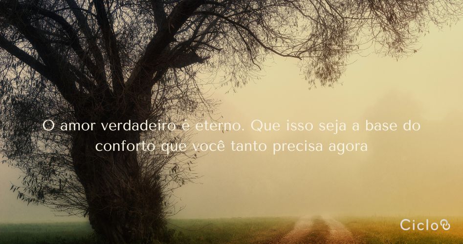 O amor verdadeiro é eterno. Que isso seja a base do conforto que você tanto precisa agora
