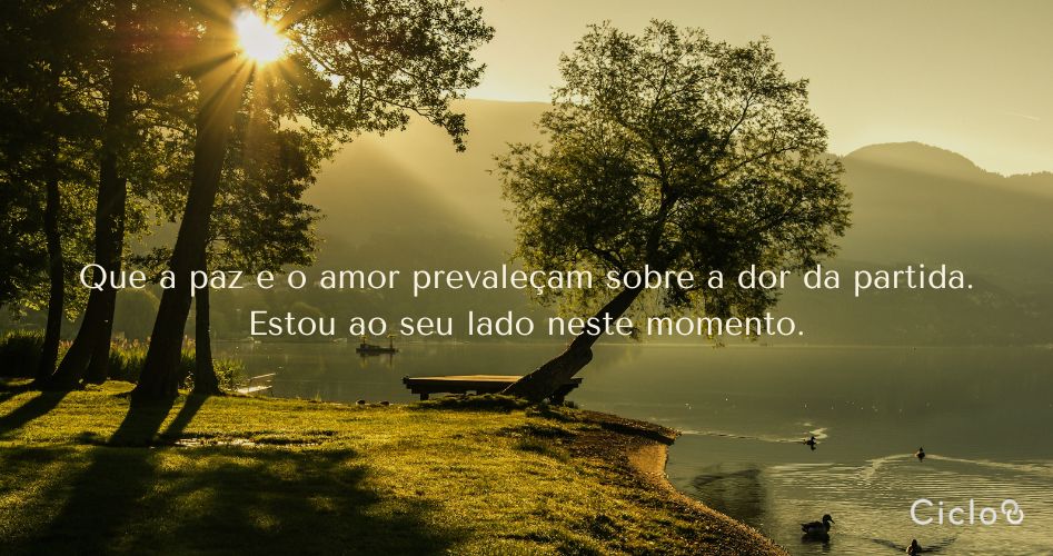 Que a paz e o amor prevaleçam sobre a dor da partida. Estou ao seu lado neste momento.