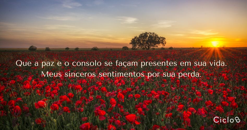 Que a paz e o consolo se façam presentes em sua vida. Meus sinceros sentimentos por sua perda.